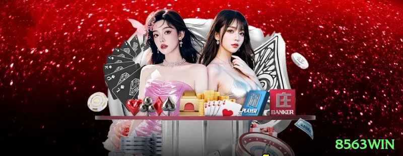 8563win Super BR v3.7.4